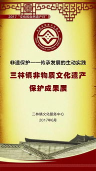 三林非遗保护 传承与发展的生动实践